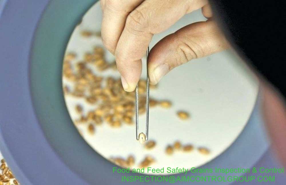 Food_and_Feed_Safety_Grains_Inspection_AIM_Control_Inspection_Goup
